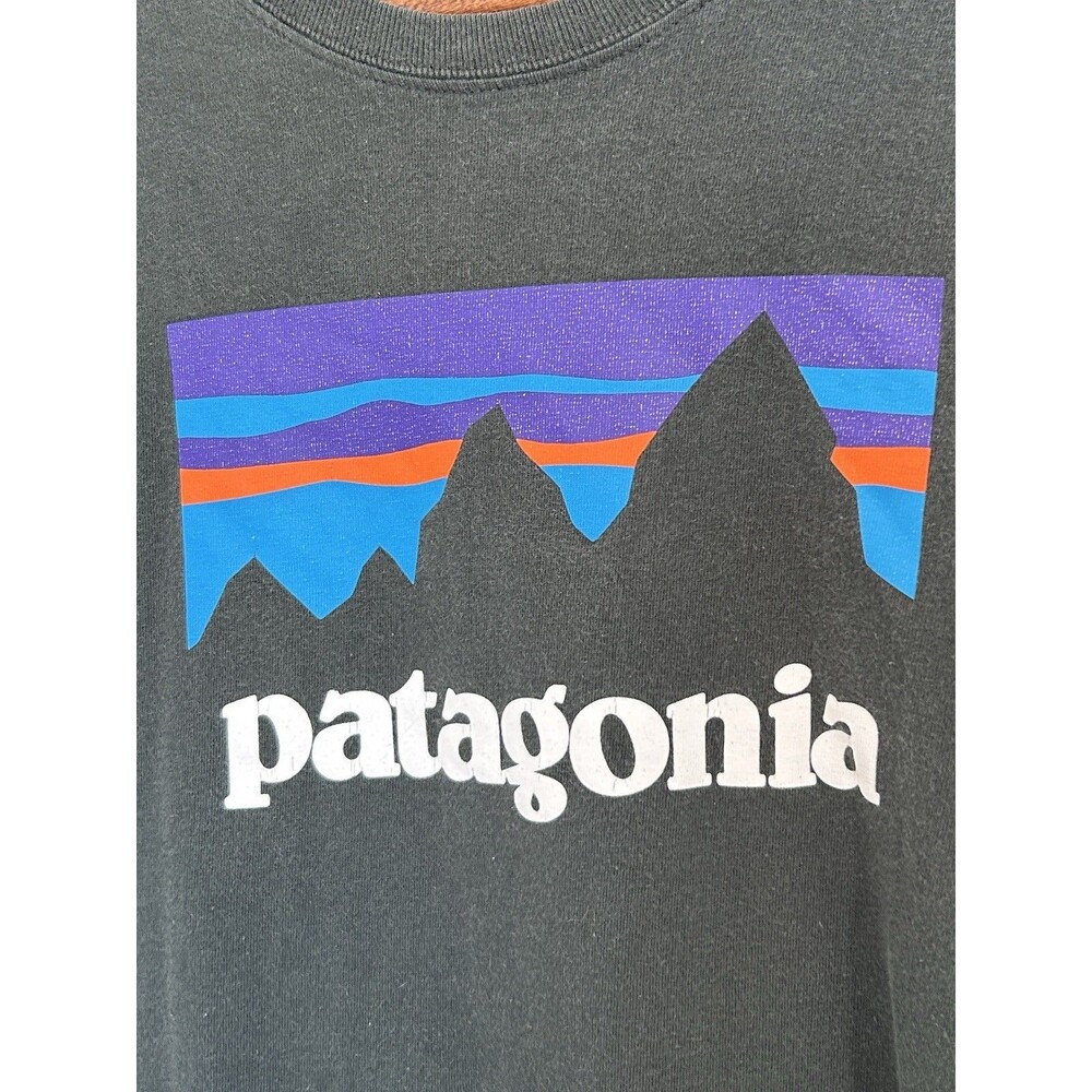 Patagonia Mens Shirt Small Charcoal Lightweight Outdoors Hiking Logo Climbing - Picture 2 of 9
